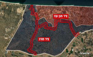 הציר במרחב (צילום: דובר צה"ל)