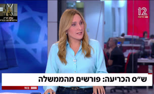 19panelsash_vtr2_n20250716_v1 (צילום: חדשות)