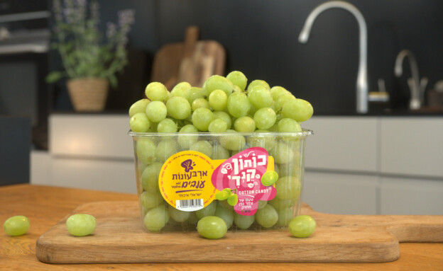 ענבי ארבע העונות