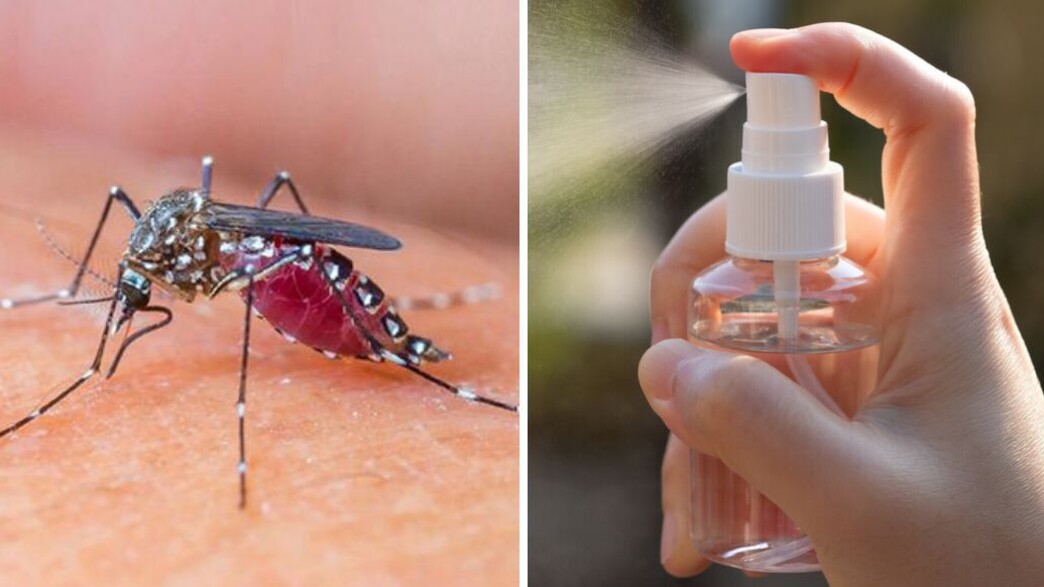 קולאז יתוש ספריי