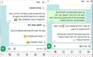 kai.ai (צילום: kai.ai)