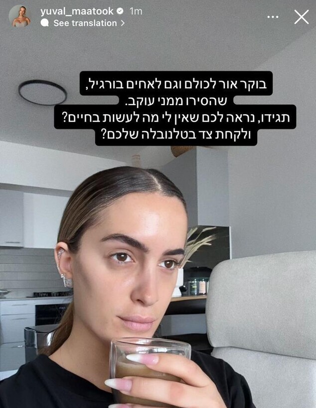 יובל מעתוק נגד ספיר ושניר בורגיל