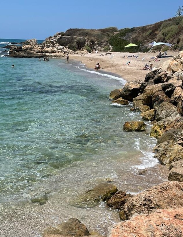 שדות ים (צילום: ארז דגן)