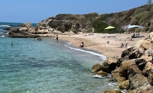 שדות ים (צילום: ארז דגן)