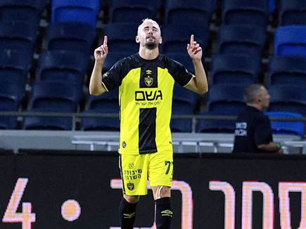 אצילי כבש ראשון (צילום: אלן שיבר)