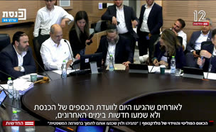 20viduy_vtr2_n20250720_v1 (צילום: חדשות)