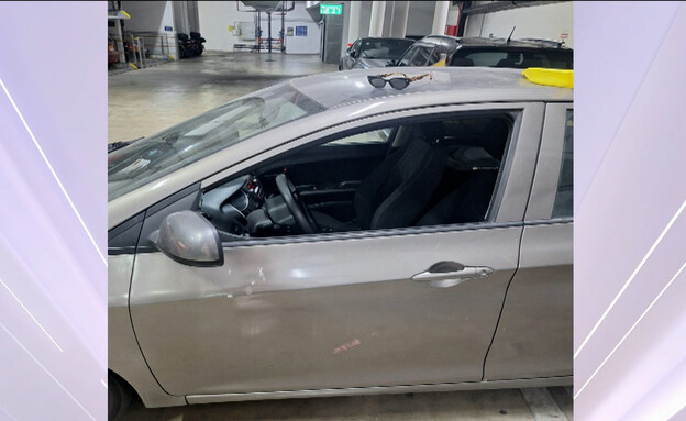 שירה גרינברג (צילום: מתוך "חדשות הבוקר", קשת 12)