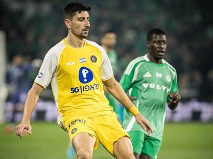 (צילום: אלן שיבר) (צילום: אלן שיבר)