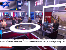 19panel2_vtr2_n20250721_v1 (צילום: חדשות)