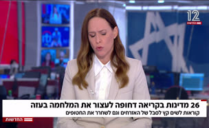 20aradbritania_vtr2_n20250721_v1 (צילום: חדשות)