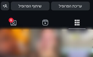 פרופיל אינסטגרם, אילוסטרציה (צילום: instagram)