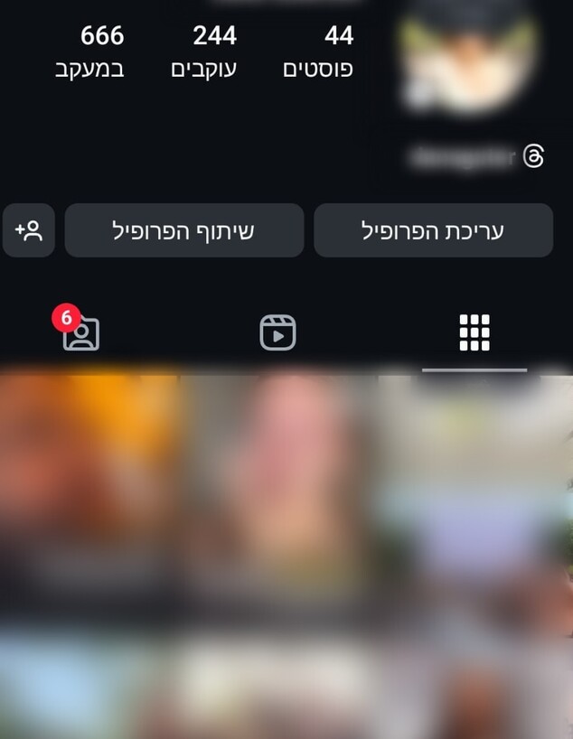 פרופיל אינסטגרם, אילוסטרציה פרופיל אינסטגרם, אילוסטרציה