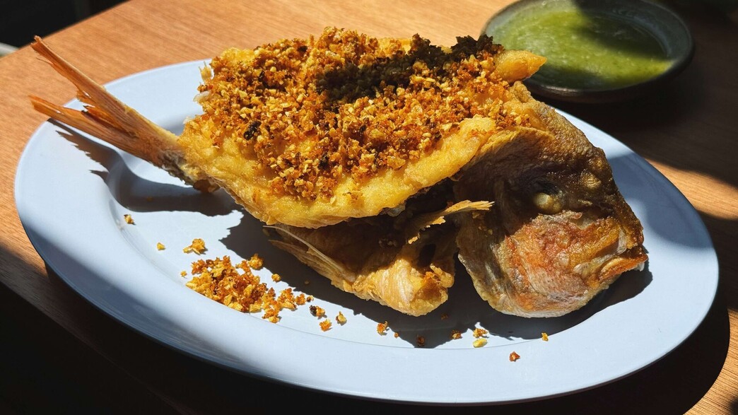 פלא טוד. מולאם פלא טוד. מולאם