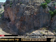 20heros_vtr2_n20250725_v1 (צילום: חדשות)