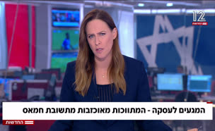 20paneliska_vtr2_n20250725_v1 (צילום: חדשות)