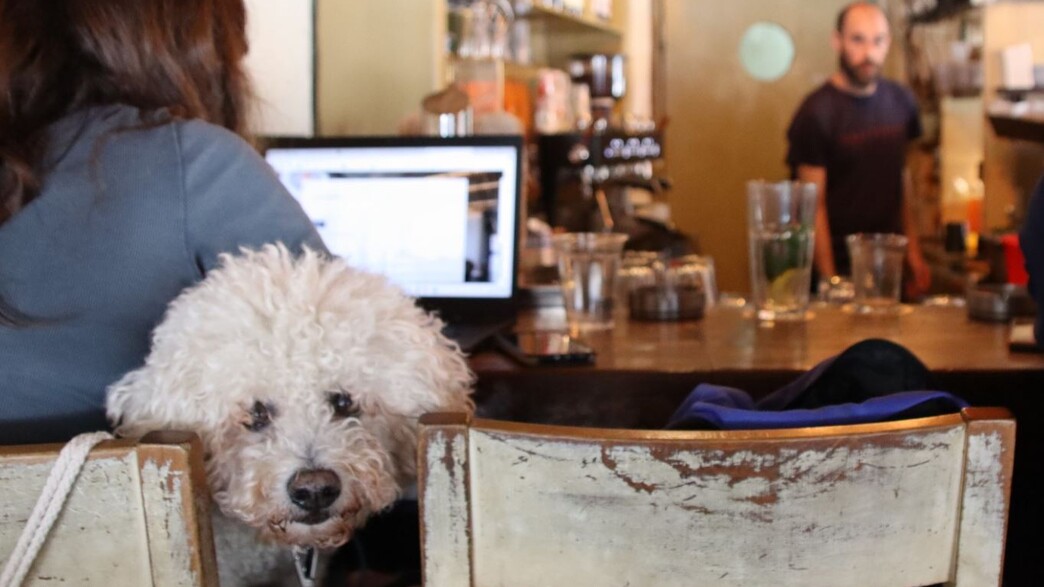 נחמה וחצי נחמה וחצי