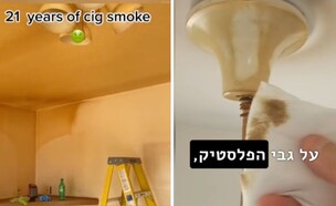 נזקי עישון לדירה (צילום: טיקטוק)