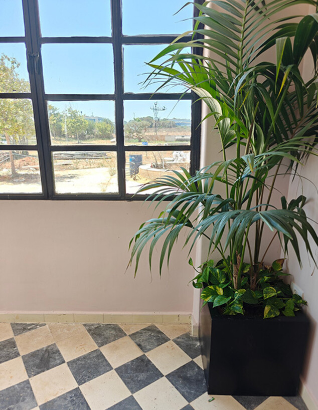 הטירה בגעש (צילום: לימור קלר)