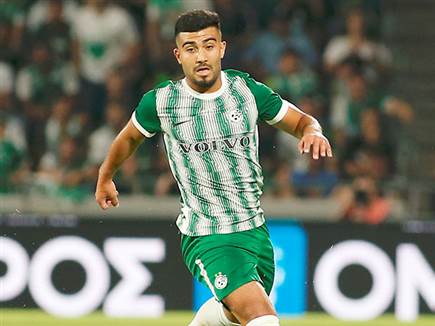 אל תחכו לאבו פאני (אלן שיבר) אל תחכו לאבו פאני (אלן שיבר)