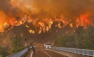 שריפות בקפריסין יולי  (צילום: לפי סעיף 27א' לחוק זכויות יוצרים)