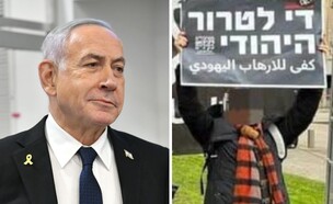 הפעילה שהואשמה באיומים על ראש הממשלה (צילום: פלאש 90)