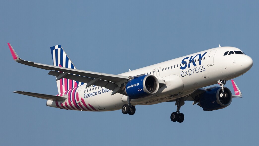 אישה אלגנטית עומדת במשרד אישה אלגנטית עומדת במשרד