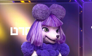 הפודל (צילום: מתוך 