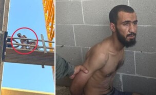 המחבל שביצע את פיגוע הדריסה בכפר יונה (צילום: דוברות המשטרה)