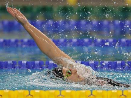 (באדיבות - גלעד קוולרצ׳יק) (צילום: ספורט 5)