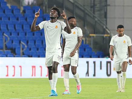 אג`יי כבש ראשון (צילום: אלן שיבר)