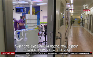 20hazevet_vtr2_n20250727_v1 (צילום: חדשות)