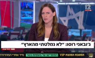 20roso_vtr2_n20250727_v1 (צילום: חדשות)