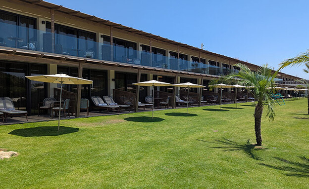 דן אכדיה דן אכדיה