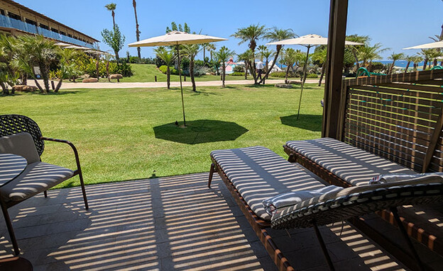 דן אכדיה דן אכדיה