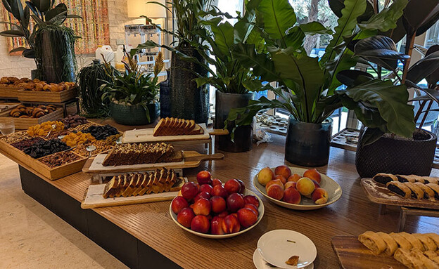 דן אכדיה דן אכדיה