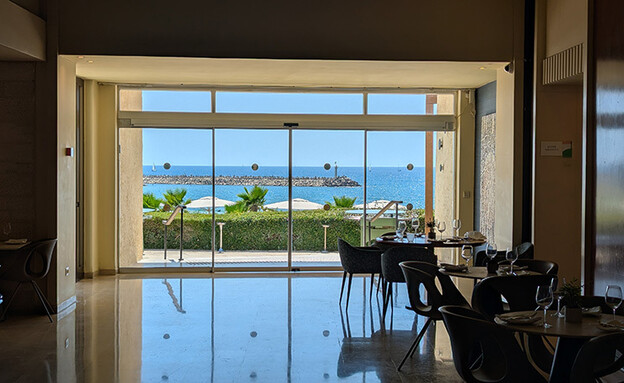 דן אכדיה דן אכדיה