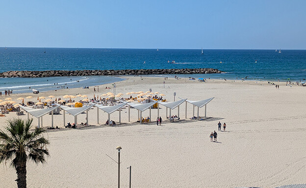 דן אכדיה דן אכדיה