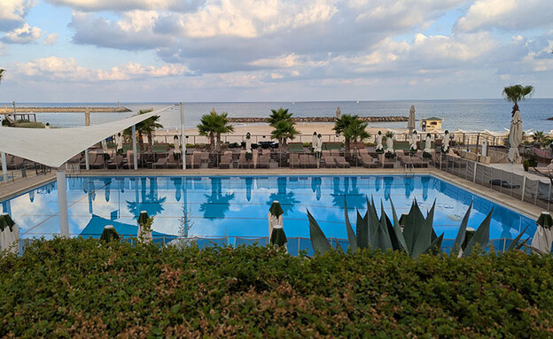 דן אכדיה דן אכדיה