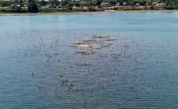האי בכנרת חזר