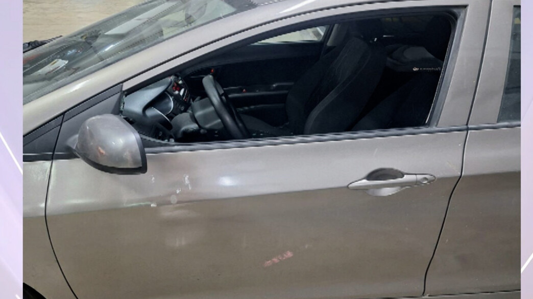 שירה גרינברג