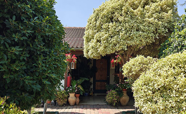 הארמון של מולי כניסה לחצר