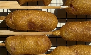 קורנדוג  (צילום: יעל קצב)