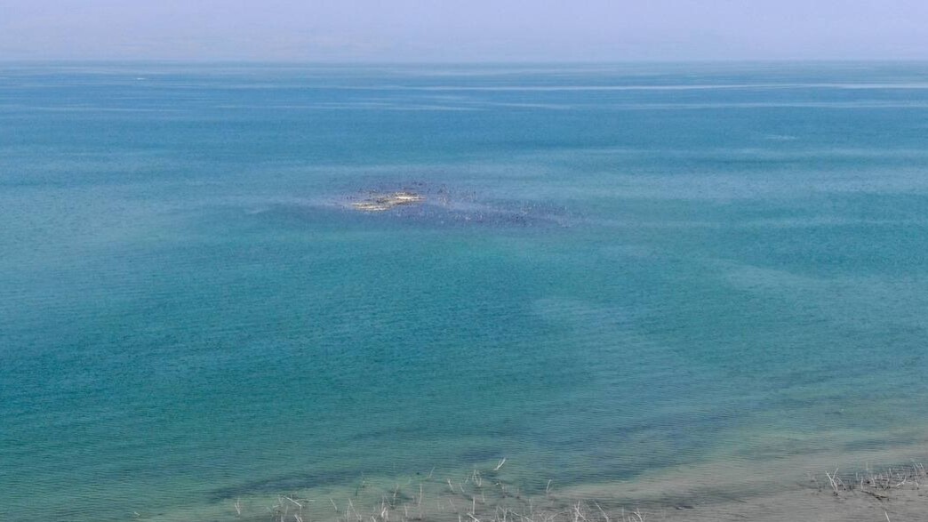 האי שבכנרת נגלה בצילום רחפן