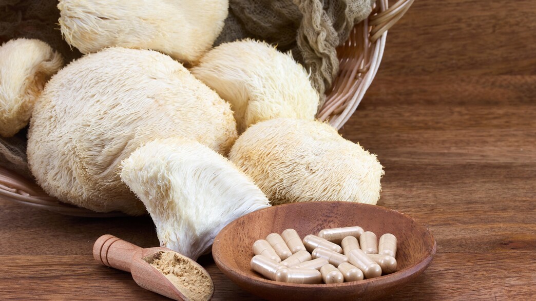 תוסף תזונה בשם "רעמת האריה"