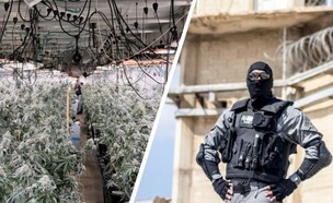 יחידת ברקאי, הסמים שנתפסו (צילום: דוברות המשטרה)