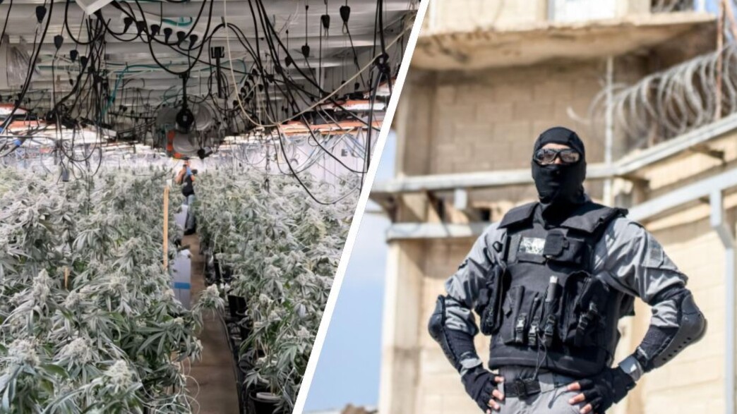 יחידת ברקאי, הסמים שנתפסו יחידת ברקאי, הסמים שנתפסו