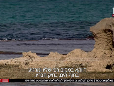 20alon_vtr2_n20250729_v1 (צילום: חדשות)