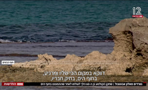 20alon_vtr2_n20250729_v1 (צילום: חדשות)