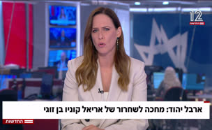 20arbel_vtr2_n20250729_v1 (צילום: חדשות)