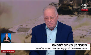 20eygept_vtr2_n20250729_v1 (צילום: חדשות)